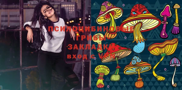 винт Аркадак