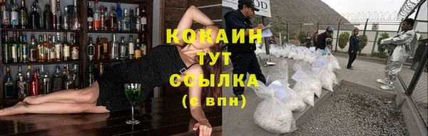 винт Аркадак