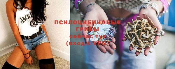 ECSTASY Армянск