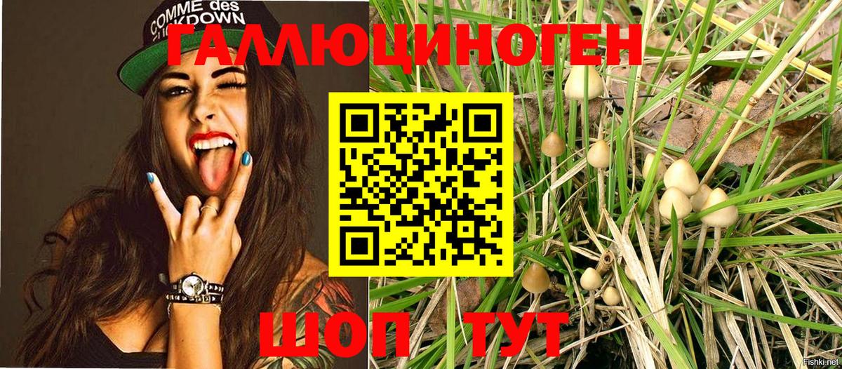 Псилоцибиновые грибы MAGIC MUSHROOMS Лянтор